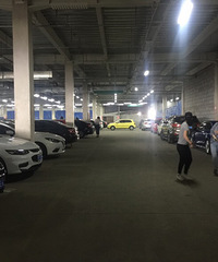 ����ŷ�о���������������ͣ�� ����ʮ��ĺ���ͣ����ͨ����