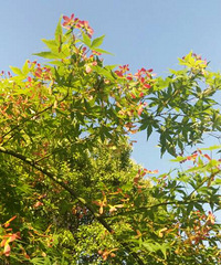 ���챱ʦ��ʦ�� �ѵ����˱�ʦ����ܷ��������ˣ�