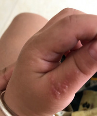 ����һ����Խ��Խ����