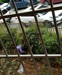 С���̻������ֲ� �ò������Ҵ�Ƭ���� ������������������