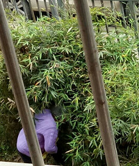 С���̻������ֲ� �ò������Ҵ�Ƭ���� ������������������