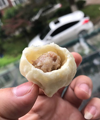 "用松树“松毛”蒸的包子"