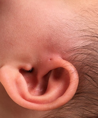 ����ǰ���и�С�ף���һ�³����˰�ɫ������