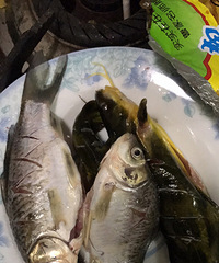 �����°����ջ�