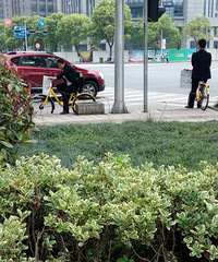 �н����ϰ�̯ʽ���� �ⷿ����Ҳ��ƴ�ģ�