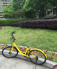 ����һ��û�������С�Ƴ���Ϊ��Ҫ��˶���...