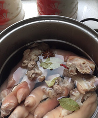 ������ԭ���׵�±����