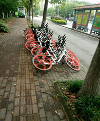 ����˭�ɵģ�һ���Ź�������ȫ�������ˣ�