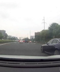 ·������Ҷ ϡ�ٵĳ�