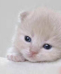 180��90ƽ�׵ķ��ӳ������Ǯ�ŶԵ��������λ����