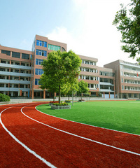 ʵ�鶫��ʵ����������