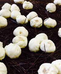 ����·���¿��������� ����Ҫ���������