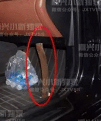 ð�亹�����������ڸ����� ������ͻȻ����һ��40���׳�������