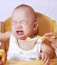 ����ʮ������ ���һ������ʳ�Ƚ�����û��һ�����ԣ�