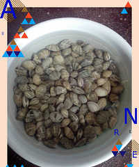 ���Ʊ������� ��������ζ�������