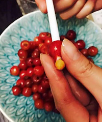 "樱桃核仁有毒?5颗核仁就能毒倒成年人"