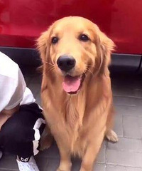 ����Ů���ڳ��� ��ë�˷ܵ��ٳ� ���������ڵ�Ѫ��