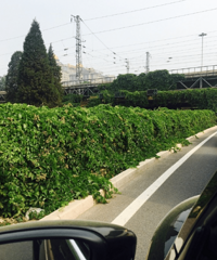 ���ߵµ�ͼ���ˣ�һ��ͨ��ֱ·������ת�䣿ת����ȥô��