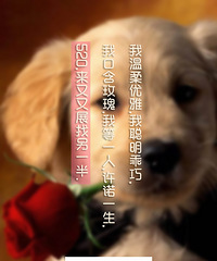 ��19¥����չ������Ȧ���ޣ���̫����+��˿�ʲ���У�