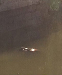 �ͳ��۾�����ʬ����˵�Ǹ��Ա��к���