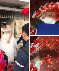 �㽭��������ױ