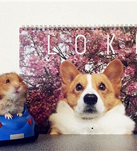 ���������ѹ��ԡ�ǰ���ǡ�