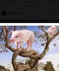��ƾߵ����ļ�ǿ���Ƽ��Լ۱ȸ� ����Ǽ���������