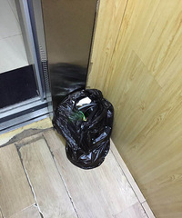 ��סԪһ��ׯ �����ﾭ�����������Ҷ�������...