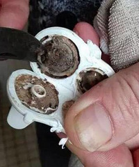 ��������������ܱ����ҵ������ˣ�