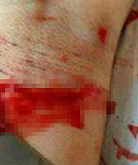 �����¼�԰�������˸���