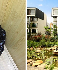 סԪһ��ׯ ���ݾ��������Ҷ�����...