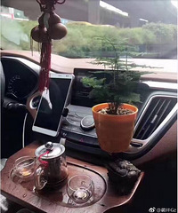 ��԰�ֶ�װ�������� ���θ�װֻ���㣡