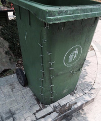 ĳ¥��С����ҵ������  ��첹��������