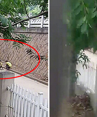 ʲô�𣿼���3���ܺ��� ���չ�������