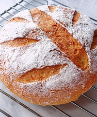 ���������� �����Ȼ�к��ܲ�