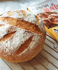 ���������� �����Ȼ�к��ܲ�