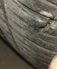 ��̥����һ����� ֻ����1.7���� Ҫ��Ҫ����