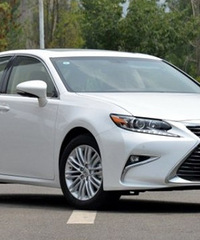 �������� ����ɵɵ�ֲ��壡����ʶô