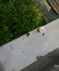 ���ģ�����ĳС�� ����������¥�¶���㣡