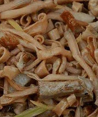 �����800Ԫһ�����������