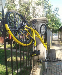 ʲô����ѽ����С�Ƴ�������Χǽ��...