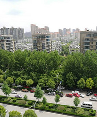 ������ͣ������Ժ�ſ� ���������������ˣ�