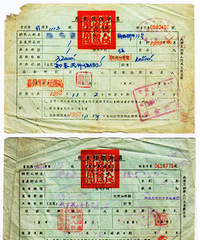 �ڼ����ҵ�һ�����ϹŶ���  1950��ķ���˰��˰����