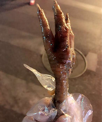 һ������ʳ �Ե���