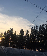 ������һ�仯Ī��