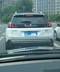 ·��һ��Сʨ�� ��������Ķ������ �ȷ���