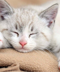 ������ʱ��û1���˹��� �����Ҹ�������