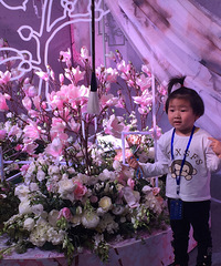 ����Ҫ���׶�԰ �����賿12��˯��������ȥѧУ�Ŷ�ȥ...