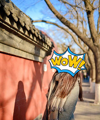 Ҳ�����ò���Ĺ��� �����е�С�� ׷��Ʒ��