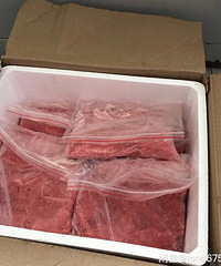 ţ��ĩţ��ĩ����è��ţ��߽���ţ��ĭ����